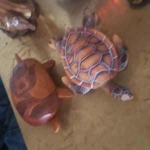 Strange turtle set